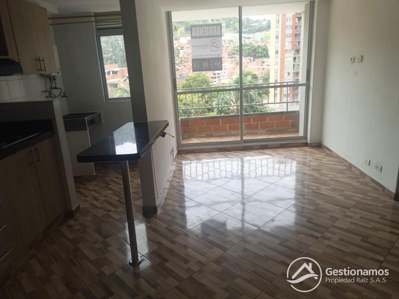 WhatsApp Image 2026-09-18 at 11.57.27 AM.jpeg